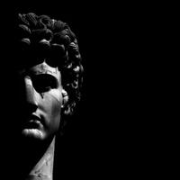 Erfan Akhavan's profile picture