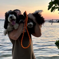 Jacob Ioffe's profile picture