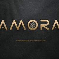 Amora's profile picture