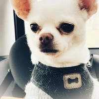 Charles Cai's profile picture