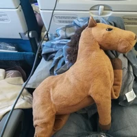 Yuriy Koshulap's profile picture