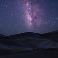 QuantumInk's profile picture