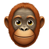 Belle's profile picture