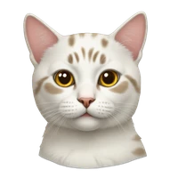 Huy Duong's profile picture