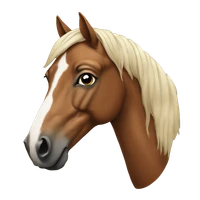 Jamq's profile picture