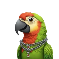 Cheng's profile picture